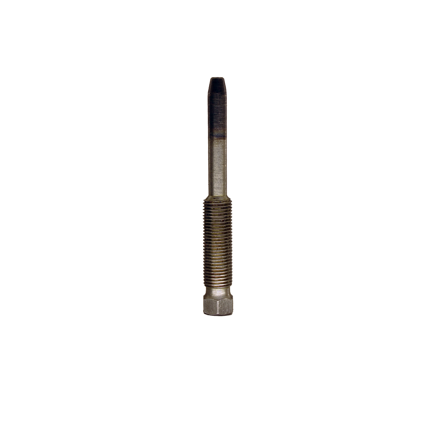 mvp-0075-21