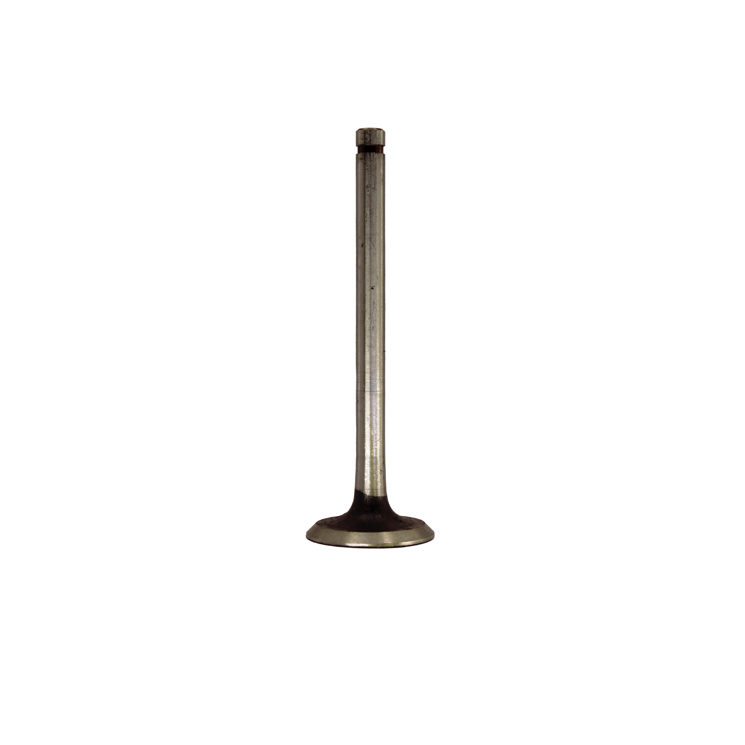 dv-0863