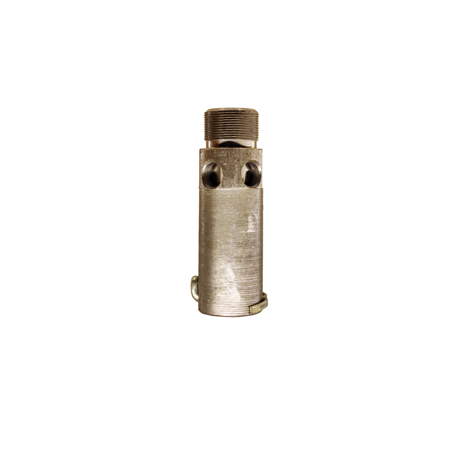 dvm-173.1