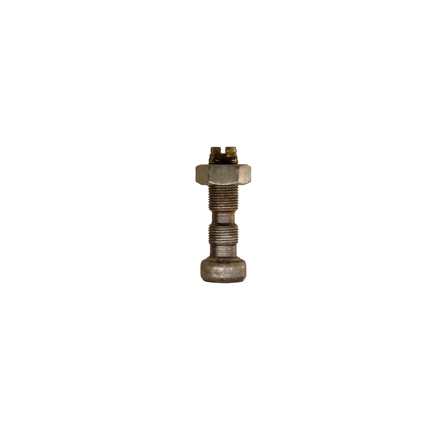 dvm-347